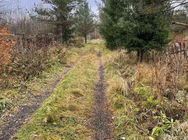 Участок продажа в Новгородская область
