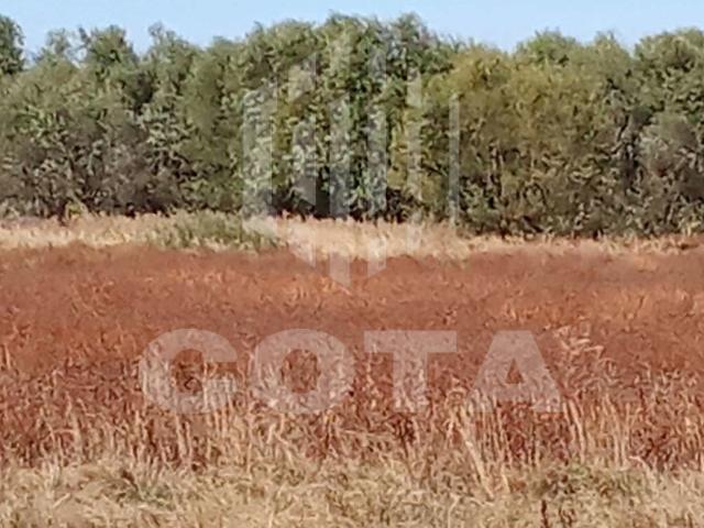 Участок продажа в СНТ 