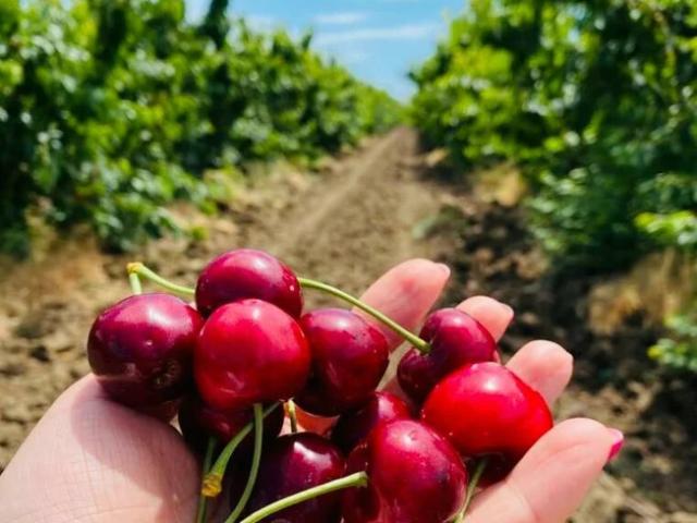 Участок продажа в Краснодарский Край