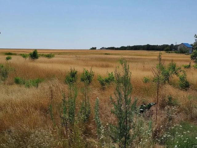 Участок продажа в Старотитаровская Ст-ца, Краснодарский Край