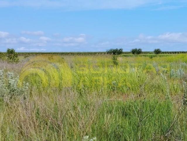 Участок продажа в Старотитаровская Ст-ца, Краснодарский Край