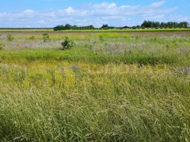 Участок продажа в Старотитаровская Ст-ца, Краснодарский Край