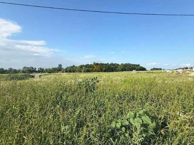 Участок продажа в Белгородская область