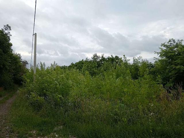 Участок продажа в Яковлевский Р-н, Белгородская область