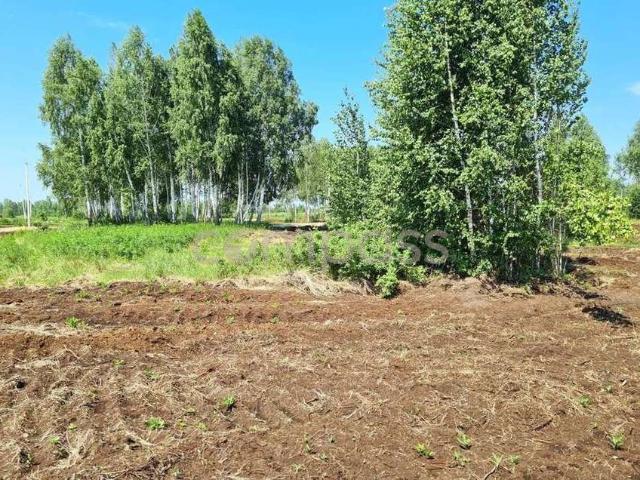 Участок продажа в Тюменская область