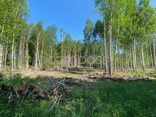 Участок продажа в Тюменская область