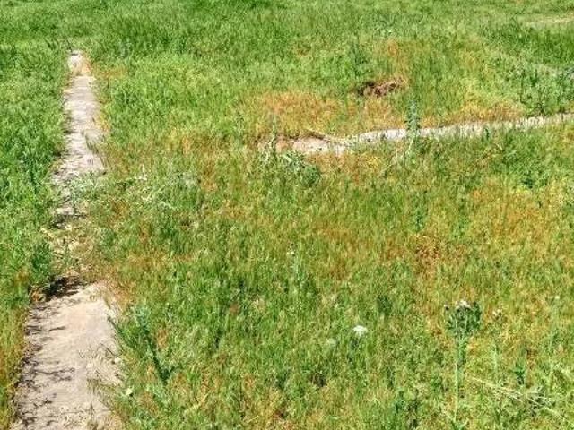 Участок продажа в Ставропольский Край