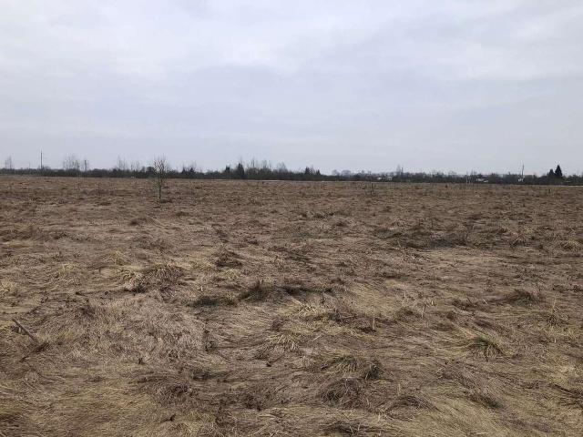 Участок продажа в Ермолинское, Новгородская область