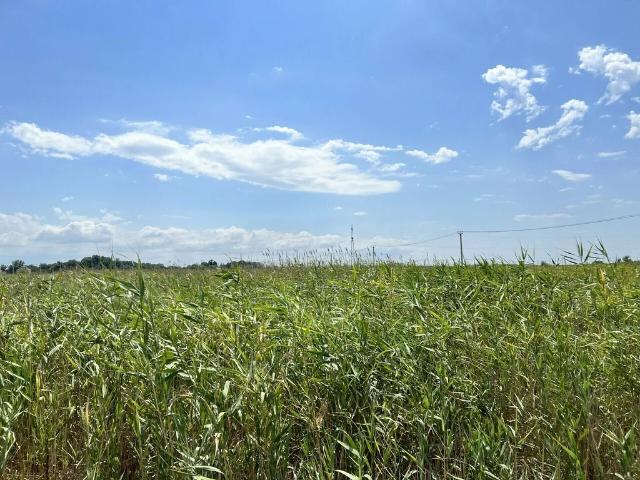 Участок продажа в Темрюк, Краснодарский Край