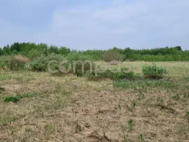 Участок продажа в Тюмень, Тюменская область