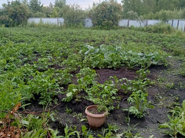 Участок продажа в Уфа, Башкортостан Респ
