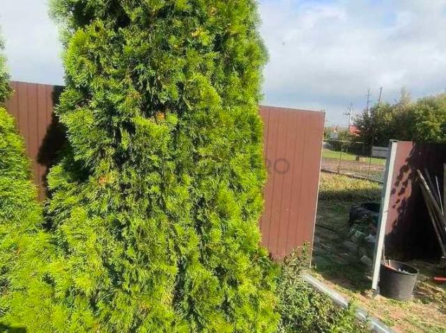 Участок продажа в Усть-Курдюм, городской округ Саратов