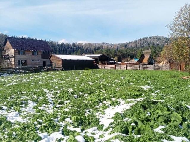 Участок продажа в Кебезенское, Республика Алтай