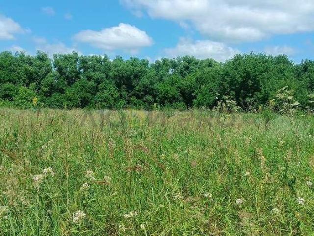 Участок продажа в Пензенская область