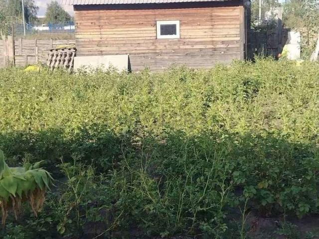 Участок продажа в Власиха, Алтайский Край