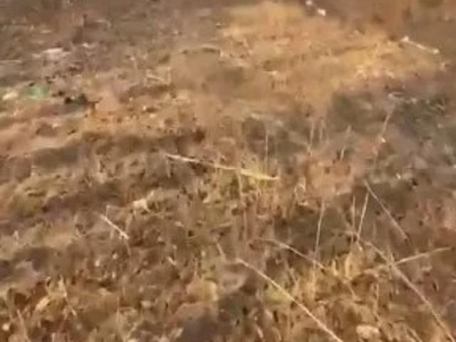 Участок продажа в Приморский Край