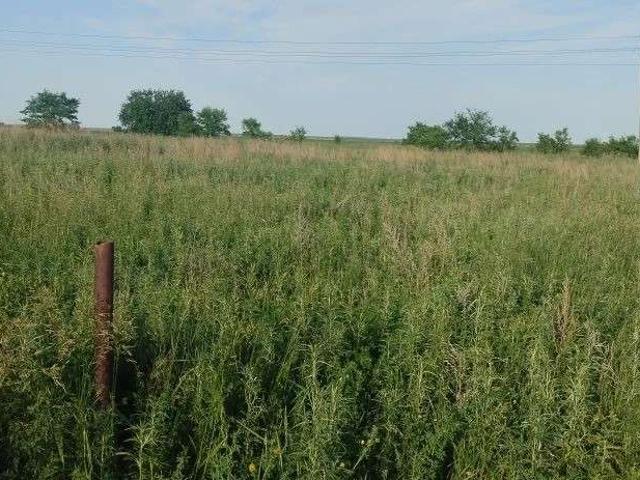 Участок продажа в Амурская область