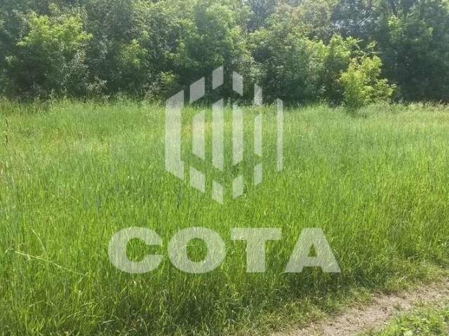Участок продажа в Отрадное С, Воронежская область
