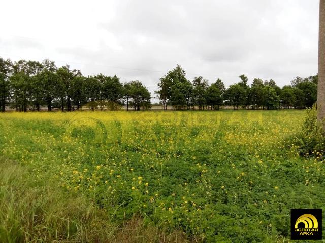 Участок продажа в Вышестеблиевская Ст-ца, Краснодарский Край