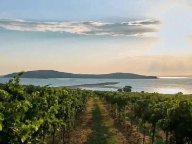 Участок продажа в Вышестеблиевская Ст-ца, Краснодарский Край
