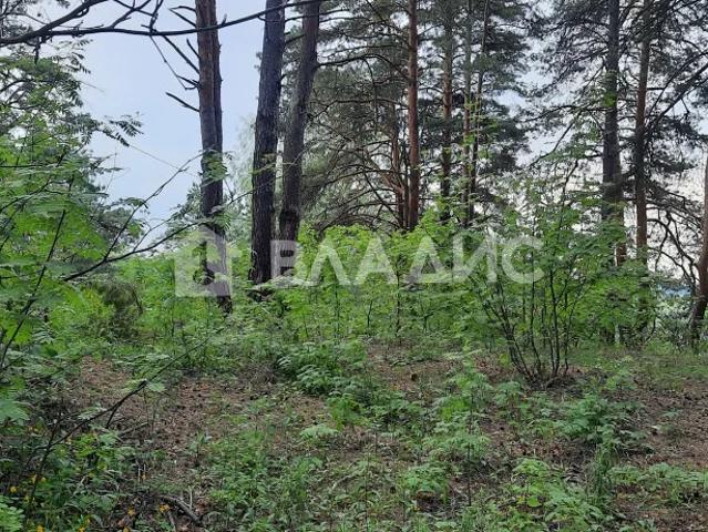 Участок продажа в Рязанская область