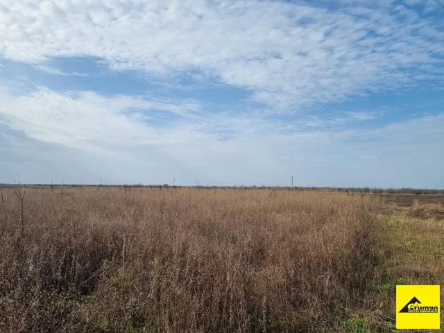 Участок продажа в Зеленая Роща С, Краснодарский Край