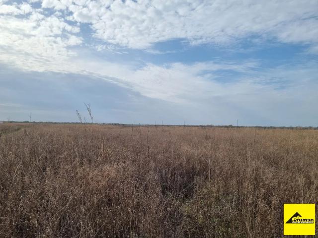 Участок продажа в Зеленая Роща С, Краснодарский Край