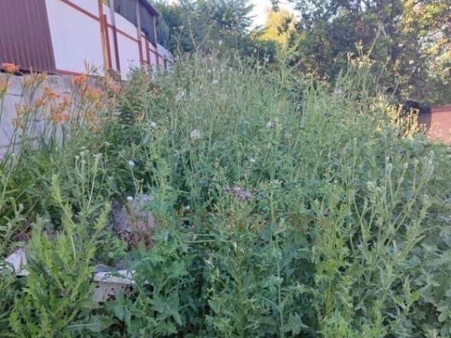 Дом продажа в Аксайский Р-н, Ростовская область