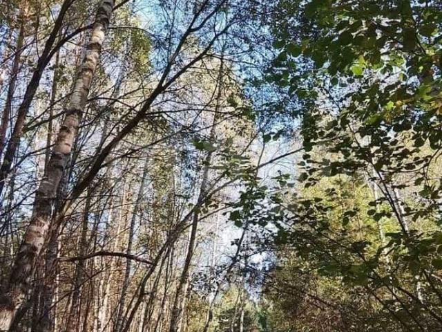 Дом продажа в Алексин, Тульская область