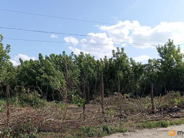 Дом продажа в Аркадак
