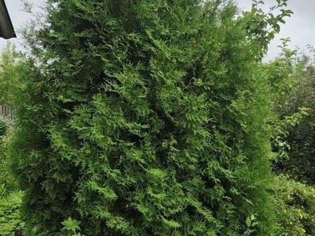 Дом продажа в Асбест, Свердловская область