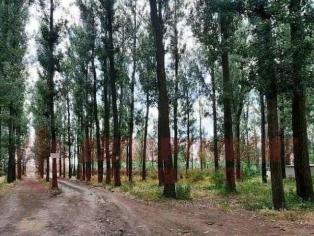 Дом продажа в Астрахань, Астраханская область