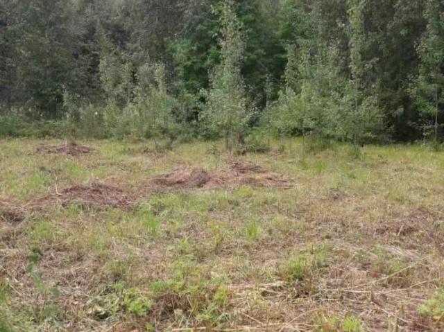 Дом продажа в Бабаево, Вологодская область