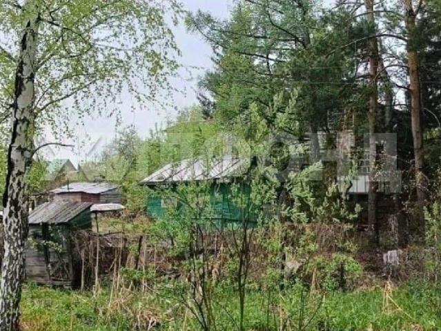Дом продажа в Алтайский Край