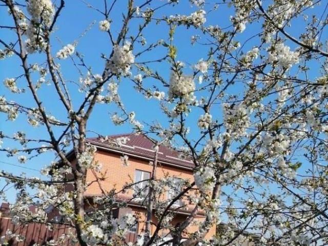 Дом продажа в Ростовская область
