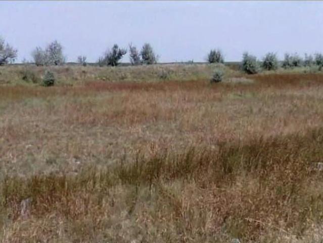 Дом продажа в Ростовская область