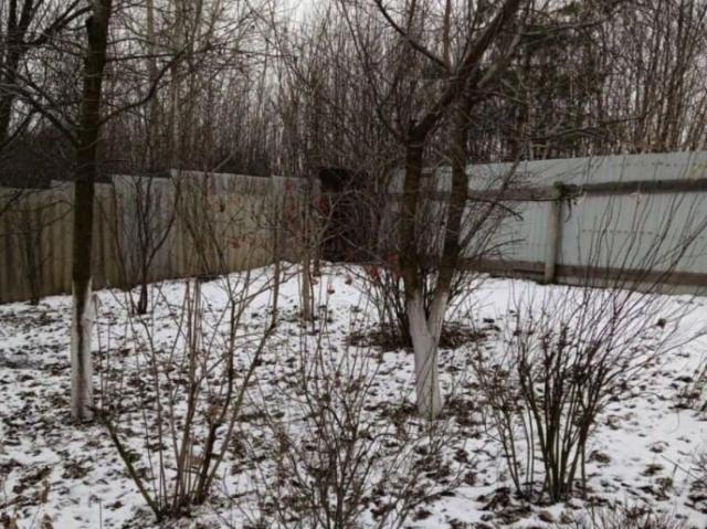 Дом продажа в Восточный округ, Белгород