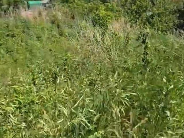 Дом продажа в Белокуриха, Алтайский Край