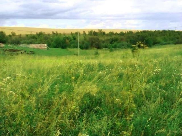 Дом продажа в Белокуриха, Алтайский Край