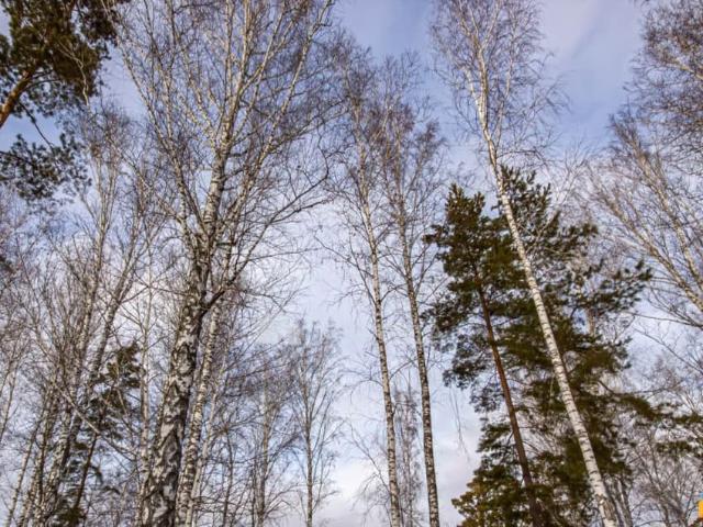 Дом продажа в Новосибирская область