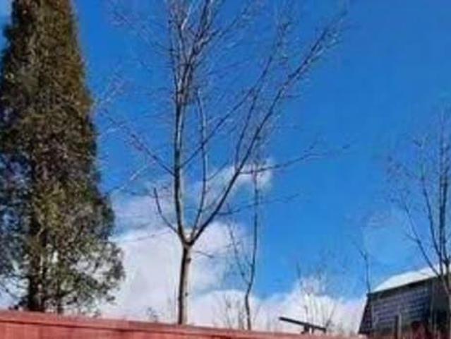 Дом продажа в Новгородская область
