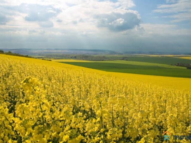 Дом продажа в Борзя, Забайкальский Край