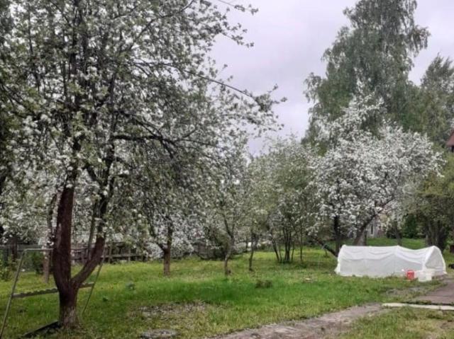 Дом продажа в Дедовск
