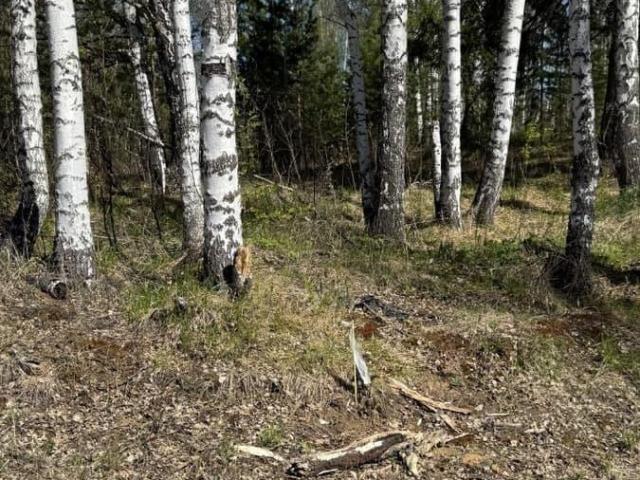 Дом продажа в Свердловская область