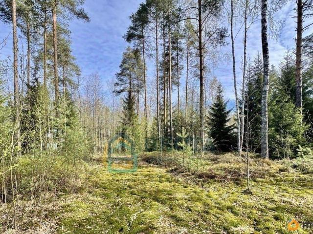 Дом продажа в Агалатово Массив, Ленинградская область