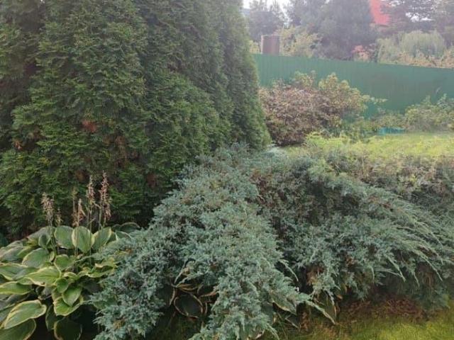 Дом продажа в Тульская область