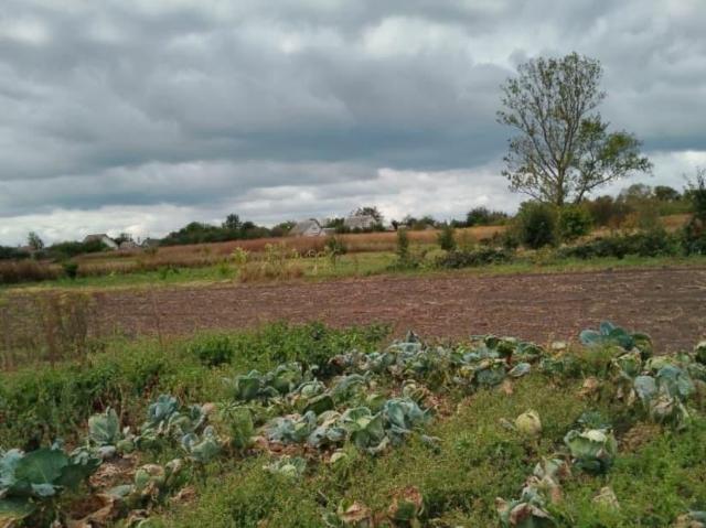 Дом продажа в Черницынский, Курская область