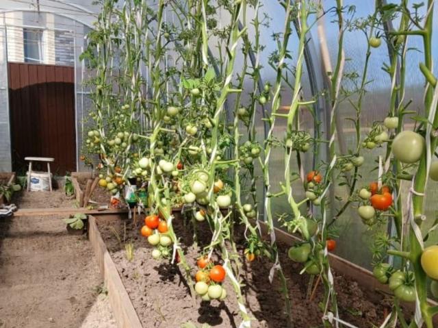 Дом продажа в Чандрово Д, Чувашская Республика - Чувашия
