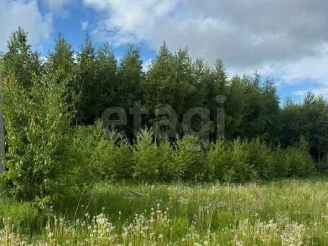 Дом продажа в Чарушины Д, Кировская область