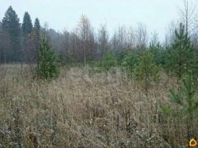 Дом продажа в Чарушины Д, Кировская область